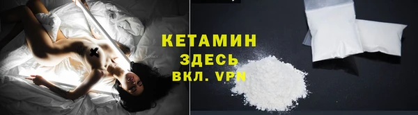 сатива Абинск