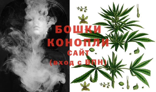 сатива Абинск