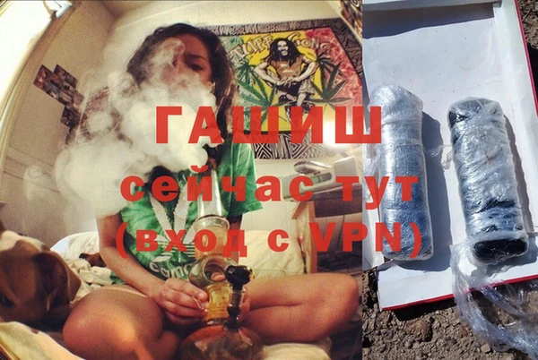 сатива Абинск