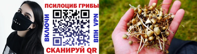сколько стоит  Ртищево  Галлюциногенные грибы мухоморы 